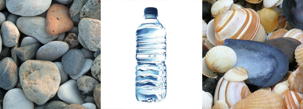 Costruisci a casa con i bambini le maracas riciclando bottigliette di acqua